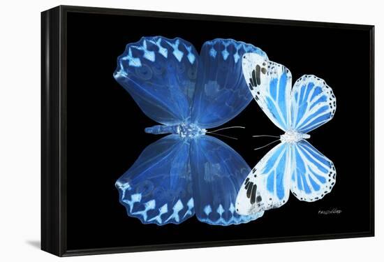 Miss Butterfly Duo Stichatura - X-Ray Black Edition-Philippe Hugonnard-Framed Premier Image Canvas