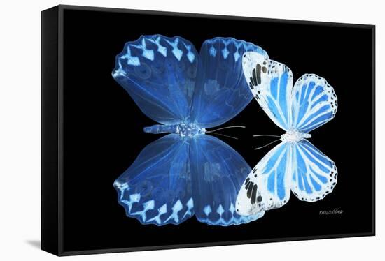 Miss Butterfly Duo Stichatura - X-Ray Black Edition-Philippe Hugonnard-Framed Stretched Canvas