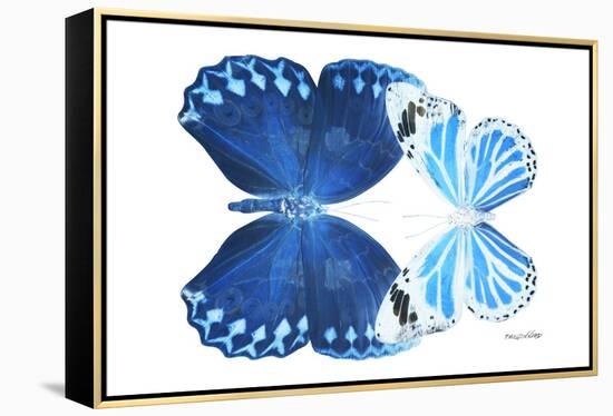 Miss Butterfly Duo Stichatura - X-Ray White Edition-Philippe Hugonnard-Framed Premier Image Canvas