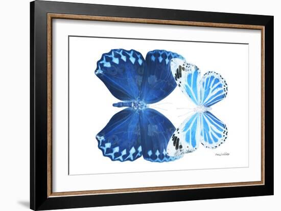 Miss Butterfly Duo Stichatura - X-Ray White Edition-Philippe Hugonnard-Framed Photographic Print