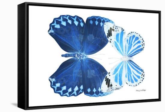 Miss Butterfly Duo Stichatura - X-Ray White Edition-Philippe Hugonnard-Framed Stretched Canvas