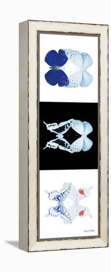 Miss Butterfly Duo X-Ray Pano II-Philippe Hugonnard-Framed Premier Image Canvas