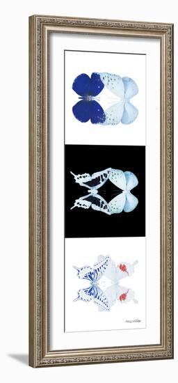 Miss Butterfly Duo X-Ray Pano II-Philippe Hugonnard-Framed Photographic Print