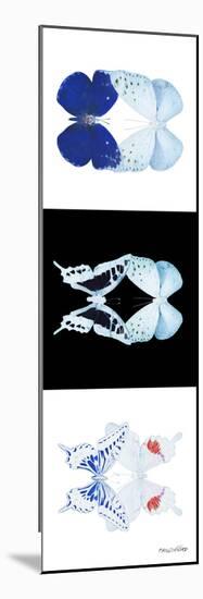 Miss Butterfly Duo X-Ray Pano II-Philippe Hugonnard-Mounted Premium Photographic Print