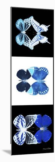 Miss Butterfly Duo X-Ray Pano-Philippe Hugonnard-Mounted Premium Photographic Print