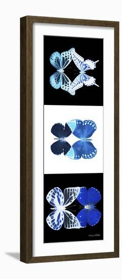 Miss Butterfly Duo X-Ray Pano-Philippe Hugonnard-Framed Photographic Print