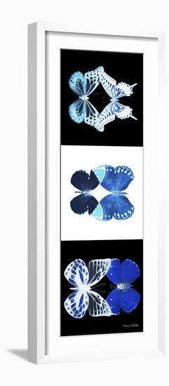 Miss Butterfly Duo X-Ray Pano-Philippe Hugonnard-Framed Photographic Print