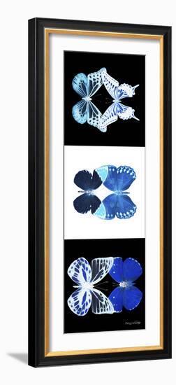 Miss Butterfly Duo X-Ray Pano-Philippe Hugonnard-Framed Photographic Print