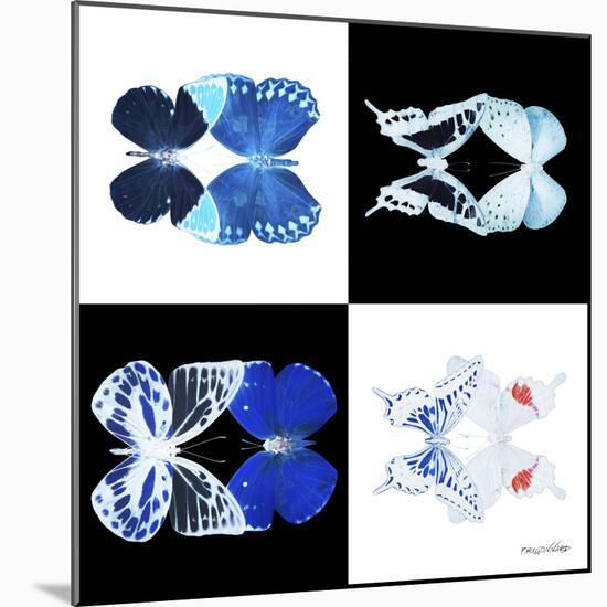 Miss Butterfly Duo X-Ray Square II-Philippe Hugonnard-Mounted Photographic Print