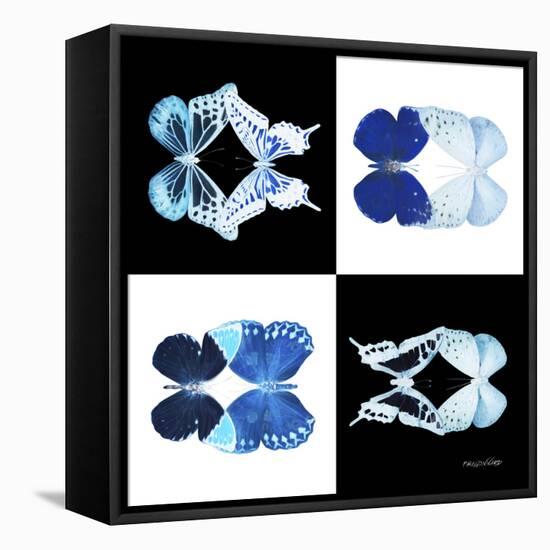 Miss Butterfly Duo X-Ray Square-Philippe Hugonnard-Framed Stretched Canvas