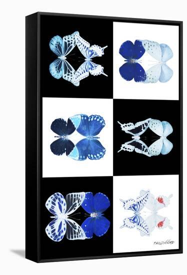 Miss Butterfly Duo X-Ray-Philippe Hugonnard-Framed Stretched Canvas