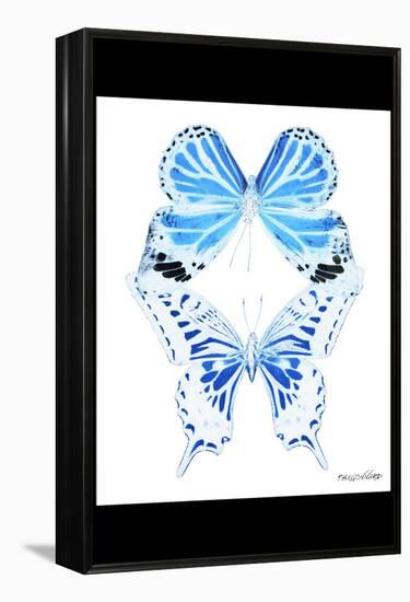 Miss Butterfly Duo Xugenutia II - X-Ray B&W Edition-Philippe Hugonnard-Framed Premier Image Canvas