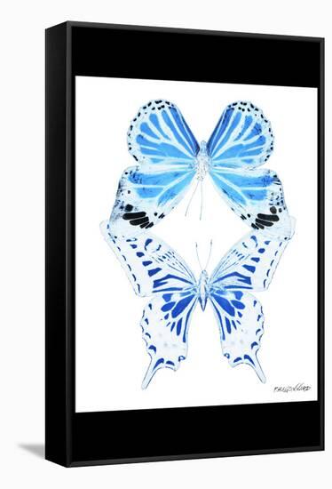 Miss Butterfly Duo Xugenutia II - X-Ray B&W Edition-Philippe Hugonnard-Framed Stretched Canvas