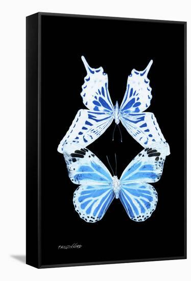 Miss Butterfly Duo Xugenutia II - X-Ray Black Edition-Philippe Hugonnard-Framed Premier Image Canvas