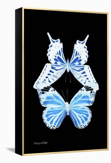 Miss Butterfly Duo Xugenutia II - X-Ray Black Edition-Philippe Hugonnard-Framed Premier Image Canvas