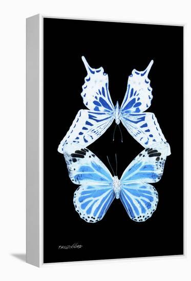 Miss Butterfly Duo Xugenutia II - X-Ray Black Edition-Philippe Hugonnard-Framed Premier Image Canvas