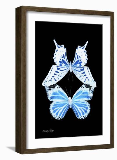 Miss Butterfly Duo Xugenutia II - X-Ray Black Edition-Philippe Hugonnard-Framed Photographic Print