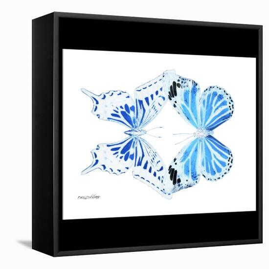 Miss Butterfly Duo Xugenutia Sq - X-Ray B&W Edition-Philippe Hugonnard-Framed Stretched Canvas