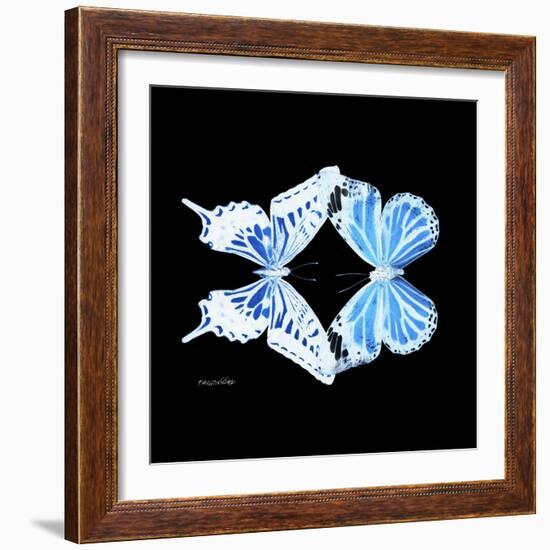 Miss Butterfly Duo Xugenutia Sq - X-Ray Black Edition-Philippe Hugonnard-Framed Photographic Print