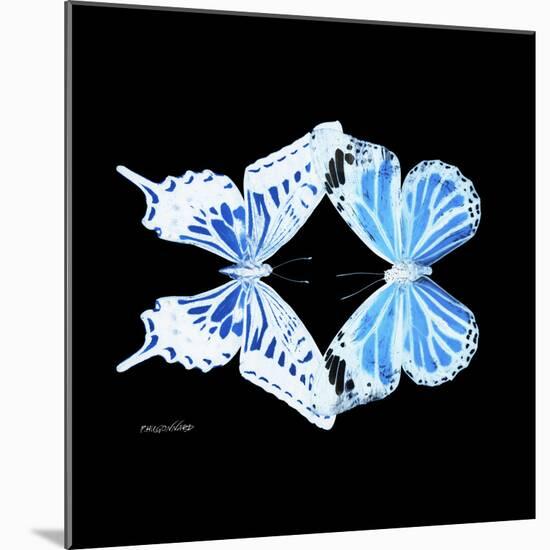 Miss Butterfly Duo Xugenutia Sq - X-Ray Black Edition-Philippe Hugonnard-Mounted Photographic Print