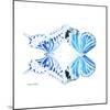 Miss Butterfly Duo Xugenutia Sq - X-Ray White Edition-Philippe Hugonnard-Mounted Photographic Print