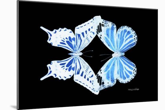 Miss Butterfly Duo Xugenutia - X-Ray Black Edition-Philippe Hugonnard-Mounted Photographic Print