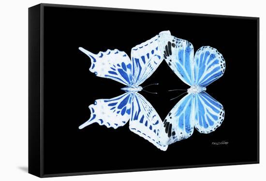 Miss Butterfly Duo Xugenutia - X-Ray Black Edition-Philippe Hugonnard-Framed Stretched Canvas