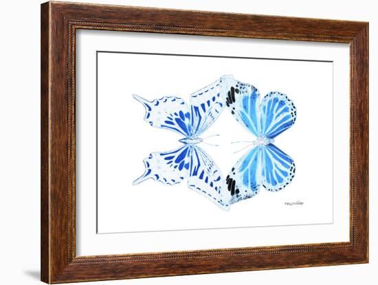 Miss Butterfly Duo Xugenutia - X-Ray White Edition-Philippe Hugonnard-Framed Photographic Print