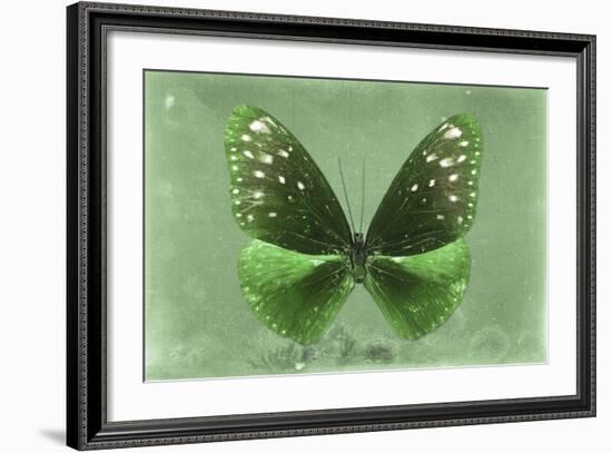 Miss Butterfly Euploea - Green-Philippe Hugonnard-Framed Photographic Print