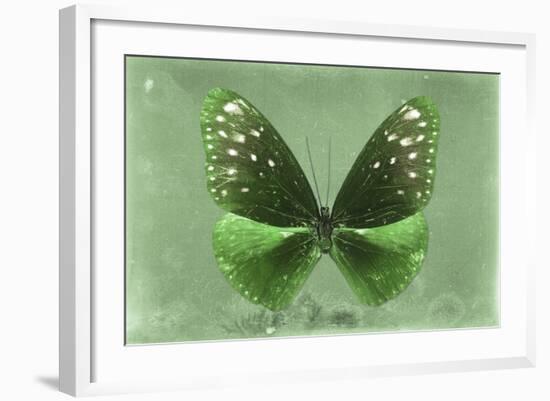 Miss Butterfly Euploea - Green-Philippe Hugonnard-Framed Photographic Print