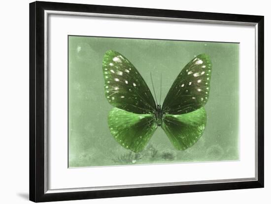 Miss Butterfly Euploea - Green-Philippe Hugonnard-Framed Photographic Print