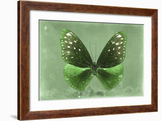 Miss Butterfly Euploea - Green-Philippe Hugonnard-Framed Photographic Print