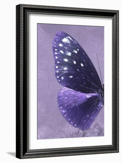 Miss Butterfly Euploea Profil - Purple-Philippe Hugonnard-Framed Photographic Print