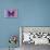 Miss Butterfly Euploea - Purple & Hot Pink-Philippe Hugonnard-Photographic Print displayed on a wall