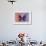 Miss Butterfly Euploea - Red & Purple-Philippe Hugonnard-Framed Photographic Print displayed on a wall