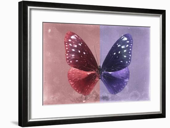 Miss Butterfly Euploea - Red & Purple-Philippe Hugonnard-Framed Photographic Print