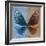 Miss Butterfly Euploea Sq - Blue & Caramel-Philippe Hugonnard-Framed Photographic Print