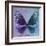 Miss Butterfly Euploea Sq - Purple & Blue-Philippe Hugonnard-Framed Photographic Print