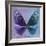 Miss Butterfly Euploea Sq - Purple & Blue-Philippe Hugonnard-Framed Photographic Print