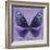 Miss Butterfly Euploea Sq - Purple-Philippe Hugonnard-Framed Photographic Print