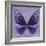 Miss Butterfly Euploea Sq - Purple-Philippe Hugonnard-Framed Photographic Print