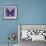 Miss Butterfly Euploea Sq - Purple-Philippe Hugonnard-Framed Photographic Print displayed on a wall