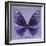 Miss Butterfly Euploea Sq - Purple-Philippe Hugonnard-Framed Photographic Print