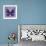 Miss Butterfly Euploea Sq - Purple-Philippe Hugonnard-Framed Photographic Print displayed on a wall