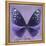 Miss Butterfly Euploea Sq - Purple-Philippe Hugonnard-Framed Stretched Canvas