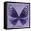 Miss Butterfly Euploea Sq - Purple-Philippe Hugonnard-Framed Stretched Canvas