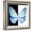 Miss Butterfly Euploea Sq - X-Ray B&W Edition-Philippe Hugonnard-Framed Photographic Print