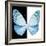 Miss Butterfly Euploea Sq - X-Ray B&W Edition-Philippe Hugonnard-Framed Photographic Print