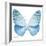 Miss Butterfly Euploea Sq - X-Ray White Edition-Philippe Hugonnard-Framed Photographic Print