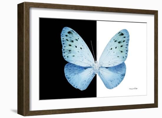 Miss Butterfly Euploea - X-Ray B&W Edition-Philippe Hugonnard-Framed Photographic Print